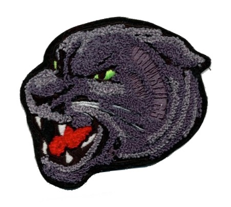 Panther Head