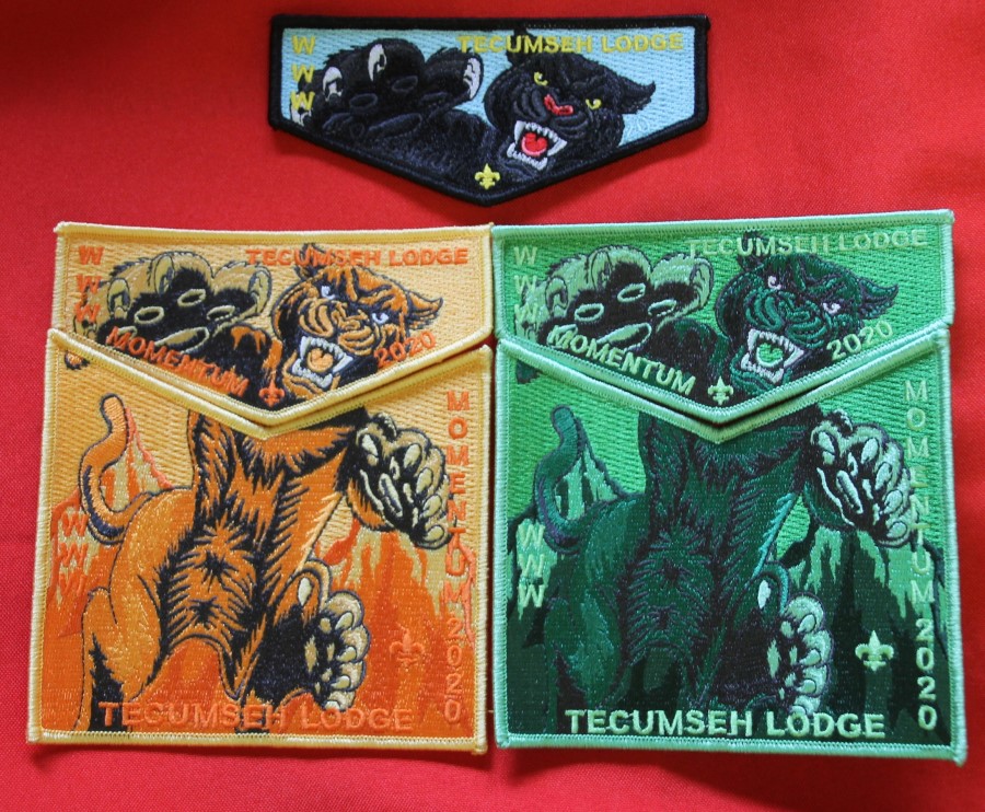 2020 Momentum patches